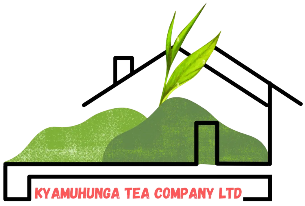 My Website